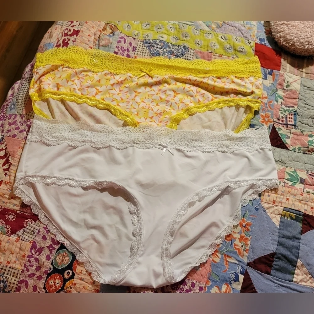 Pure Beauty 2X Set of 2 Panties NEW